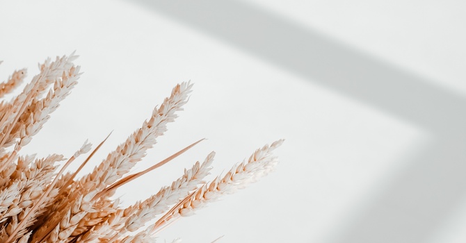 Manual Osteopathic Therapy