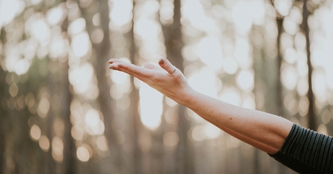 Manual Osteopathic Therapy